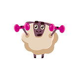 Sheep Training In Gym