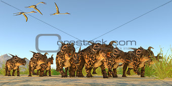 Einiosaurus Dinosaurs