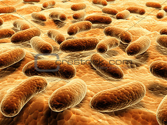 Pathogen bacteria on the surface