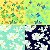 Set of jasmine flowers, butterflies  bright seamless vector illu