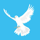 Beautiful white dove flying way up in a blue sky