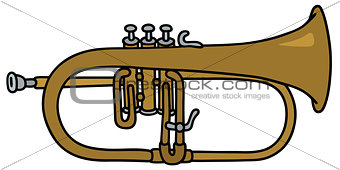 Classic brass trumpet