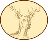 Red Stag Deer Head Circle Etching