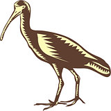 Egret Heron Crane Side Woodcut