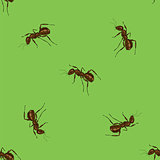 Seamless Animal Pattern. Ant Isolated