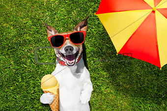 dog with ice cream under umbrella
