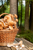 Basket with mushrooms on the table