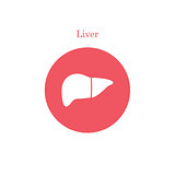 Simple liver icon
