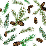 Vector illustration seamless pattern with pinecone branch . Pine cone wood nature