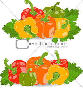 Pepper, set of yellow, red, green and orange peppers, parsley leaves, vector illustration on a transparent background