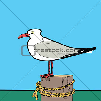 Sea gull sitting on the pier