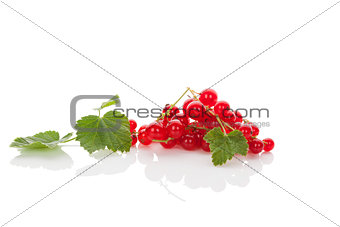 Red currant.