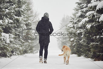 Winter walk