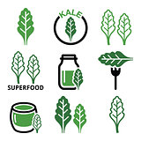 Superfood - kale leaves vector green icons set