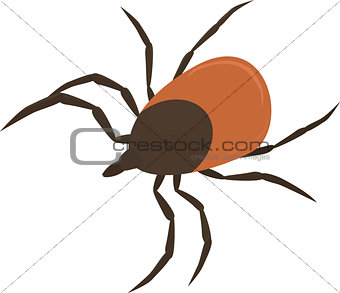 Vector illustration of brown tick