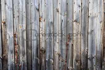 Background wood The old and classic blackground. Nice background