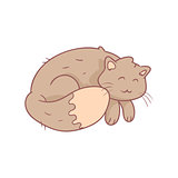 Sleeping Fluffy Grey Cat