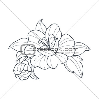 Dog Rose Flower Monochrome Drawing For Coloring Book