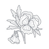 Pansy Flower Monochrome Drawing For Coloring Book
