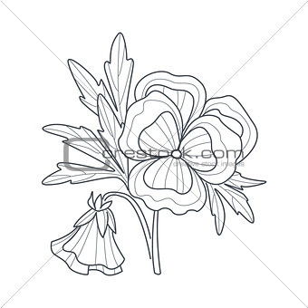 Pansy Flower Monochrome Drawing For Coloring Book