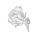 Rose Bud Monochome Drawing For Coloring Book