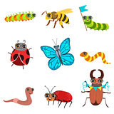 Insect Cartoon Images Set