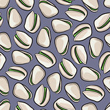 Vector seamless Pistachios pattern. Engraved collection.