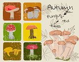 Vintage poster with autumn plants and fungus.