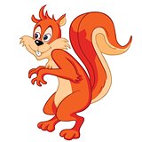 Red Squirrel Cartoon Vector Illustration