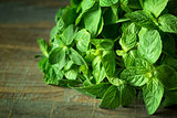 Fresh mint leaves on wooden background