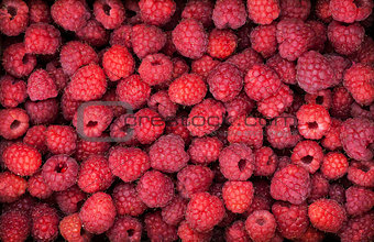 Fresh organic ripe raspberry, top view