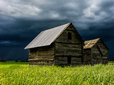 Sunny old barn in front of a storm