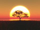 3D tree against a sunset sky