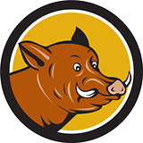 Wild Boar Razorback Head Startled Circle Cartoon