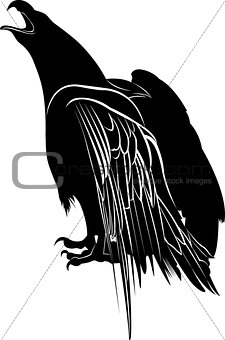 eagle. Eagle Silhouette on white background. Hunting eagle vector silhouette