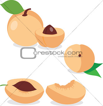Apricot. Set apricots, pieces and slices