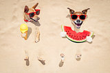 couple of dogs at the beach and watermelon