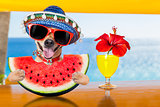 dog at the beach and watermelon