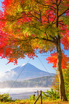 Mt. Fuji in Autumn