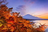 Mt. Fuji Japan