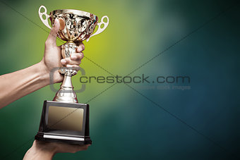 hand holding up a gold trophy cup
