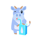 Cow Drinking Milk From Carton Box With Straw