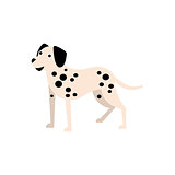 Dalmatian Dog Breed Primitive Cartoon Illustration