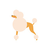 Poodle Dog Breed Primitive Cartoon Illustration