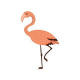 Pink Flamingo Realistic Childish Illustration