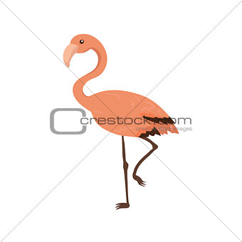 Pink Flamingo Realistic Childish Illustration