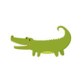 Crocodile Realistic Childish Illustration