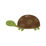 Tortoise Realistic Childish Illustration