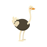 Ostrich Realistic Childish Illustration