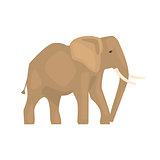 Elephant Realistic Simplified Drawing